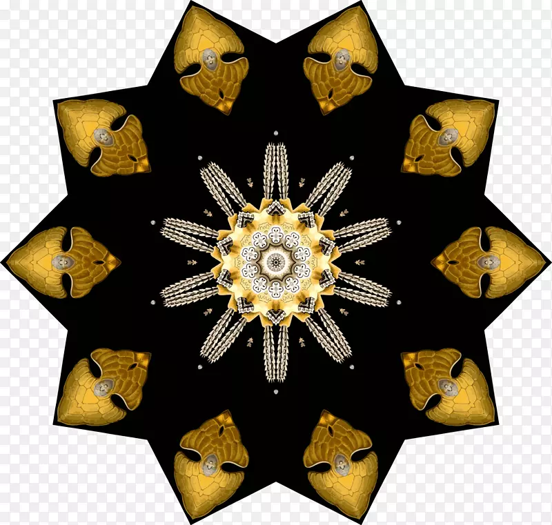 �Գ�-9-������