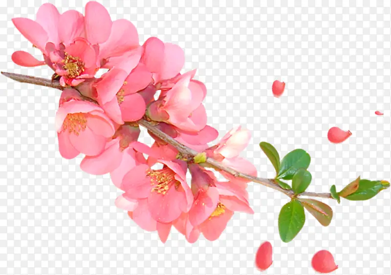 ˮ���һ�png-������