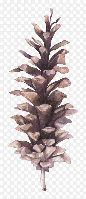 �廭����ɹ���ʵ-������