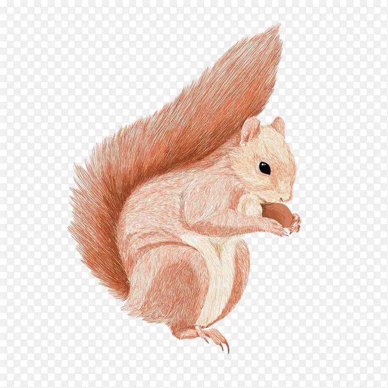 �ֻ濨ͨС����廭-������