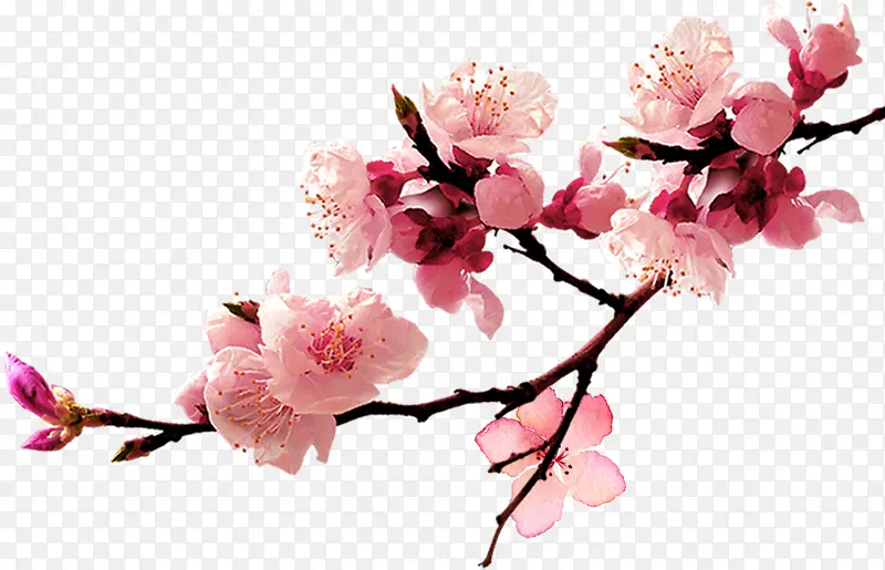 һֻ�ۺ���һ�-������