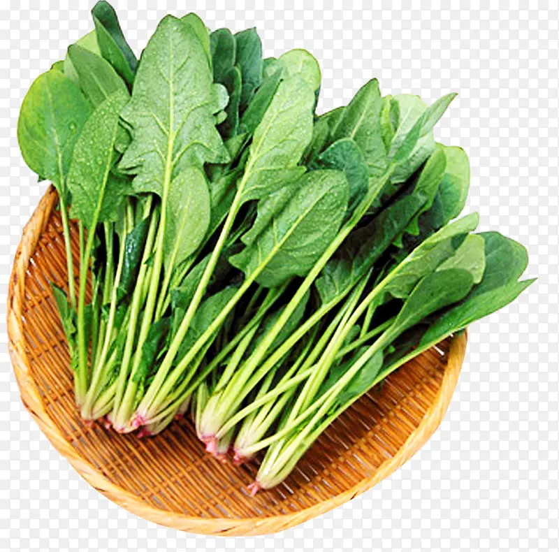 �������ʵ�Ŷ-������