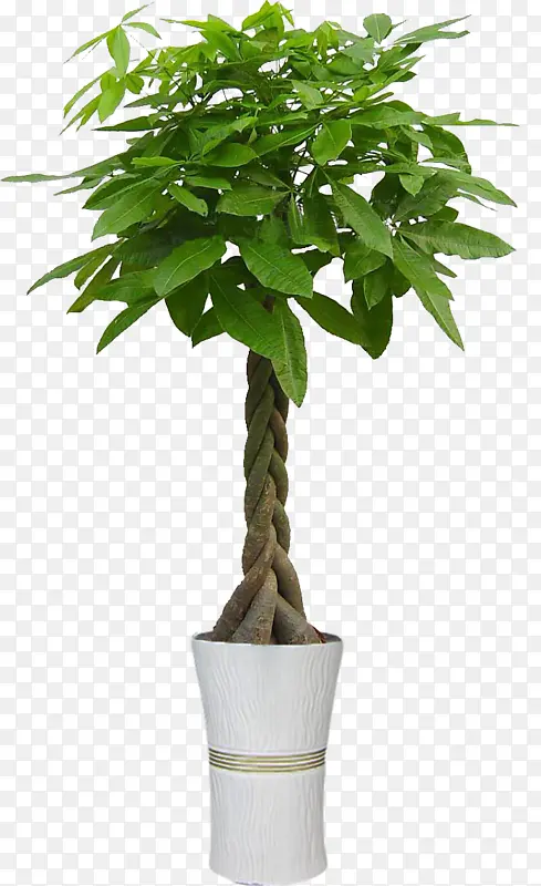 ��淢���� ����-������