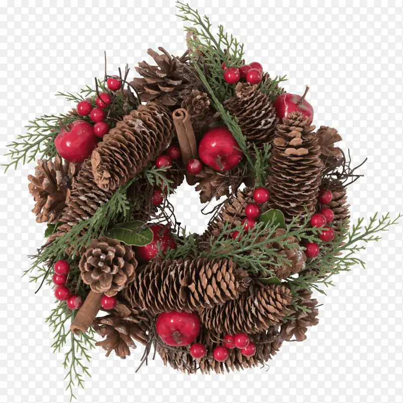 ʥ���ز�ʥ������֦�ڻ���ʥ����-������