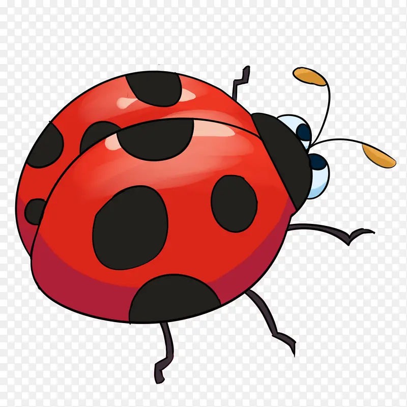 �ɰ�С����ư��廭-������