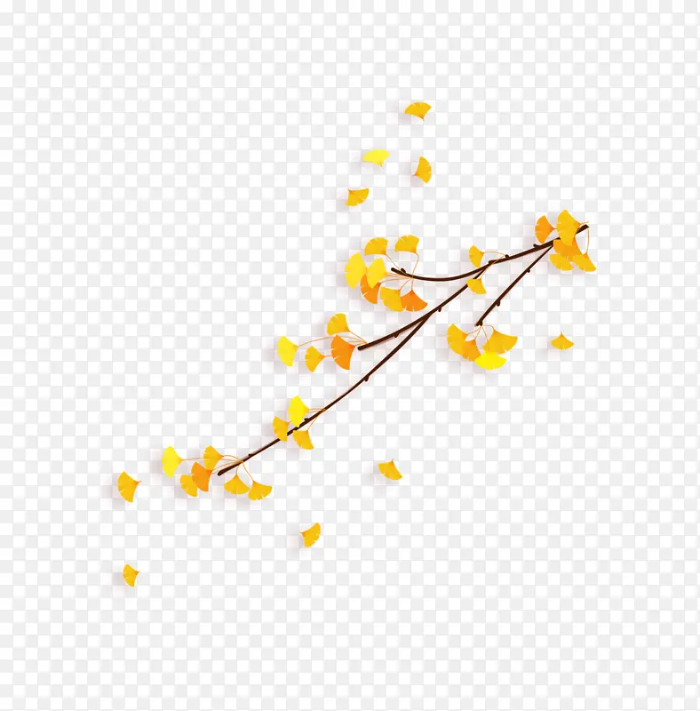 ���Ҷ֪���������֦-������