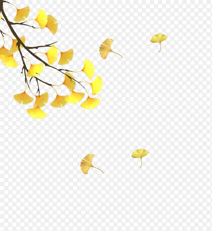 ���һ֦��Ƶ�������֦-������