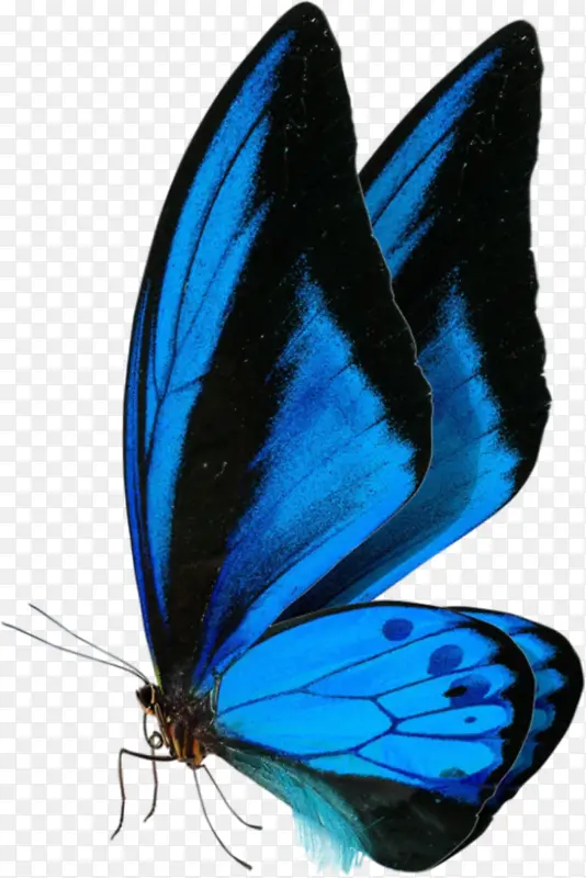 �������ĺ���-������