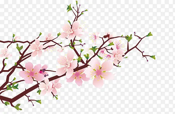 ʢ���������һ�-������