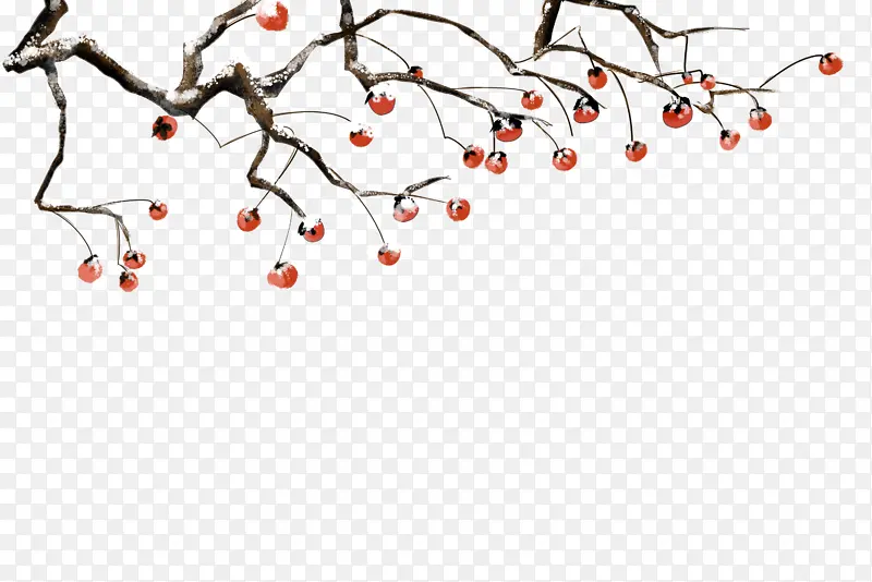 �������ֻ��ز�-������