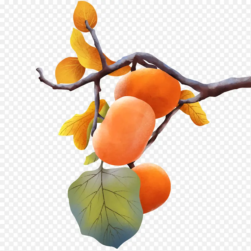 ˪�������ֻ��ز�-������