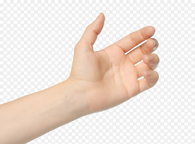 һֻ�����Ŷ���-������