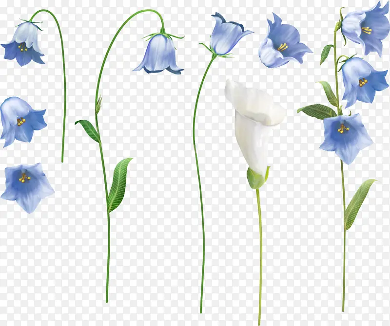 ������̬�����-������