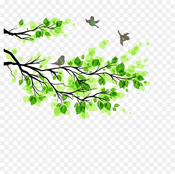 ��Ҷ��֦С��-������