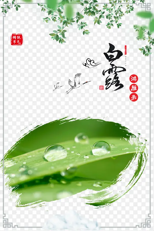 ��¶�ɺ�������֦��Ҷ�߿�-������