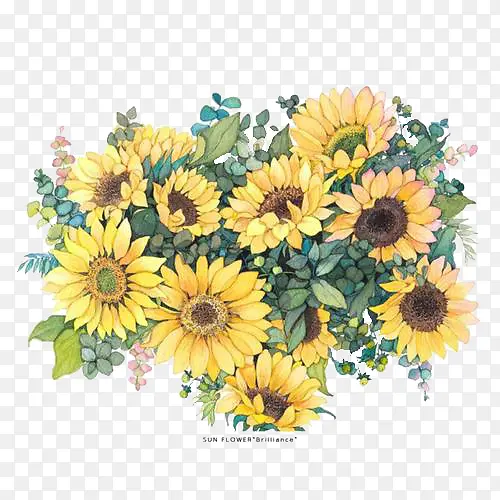 ���տ�ˮ��4-������