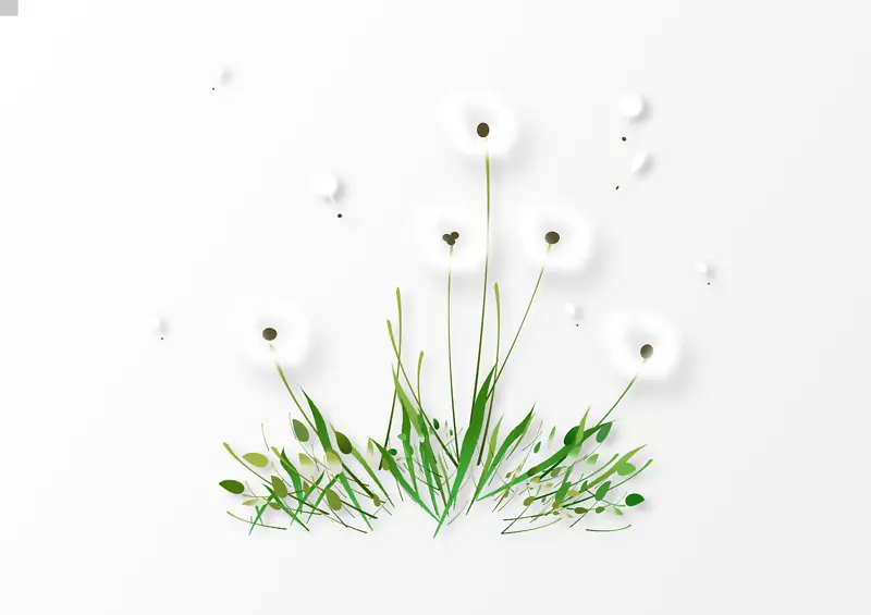 �ѹ�Ӣ��ɫ�ز�-������