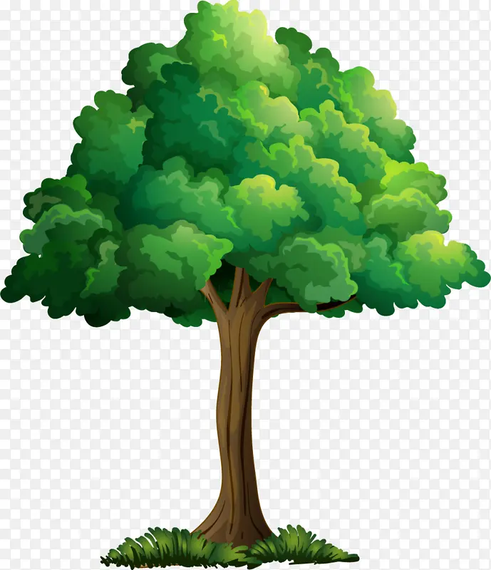 ��ͨ�廭��ֲ-������