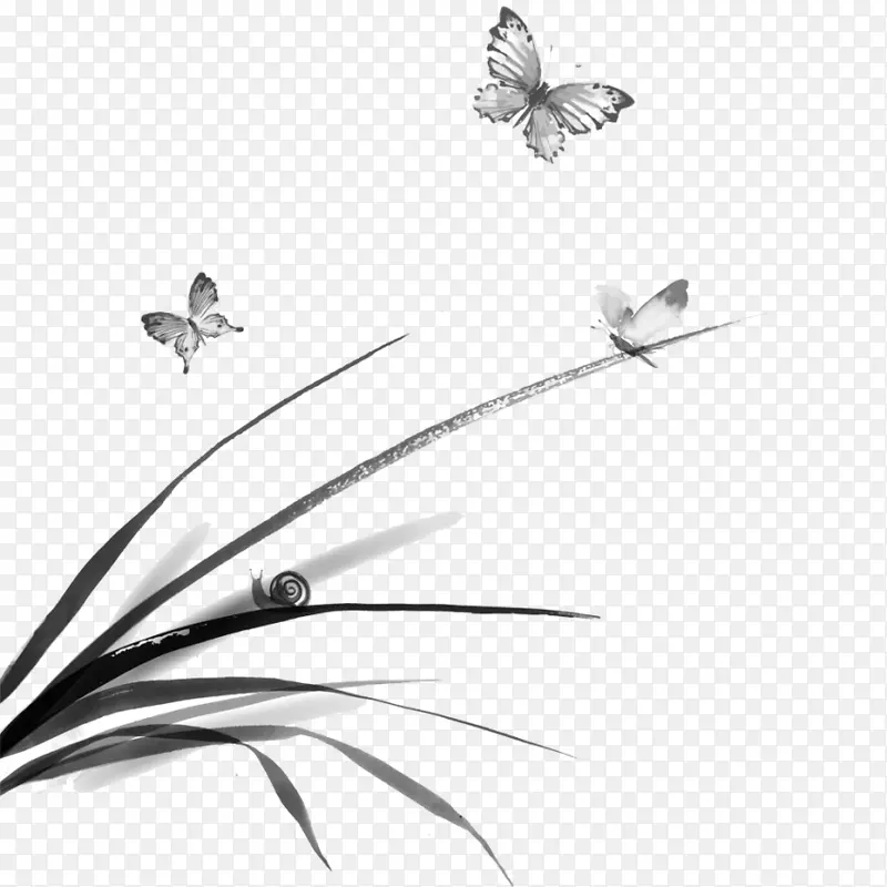 �ŷ� ˮī�� ������ ���� ��ţ-������