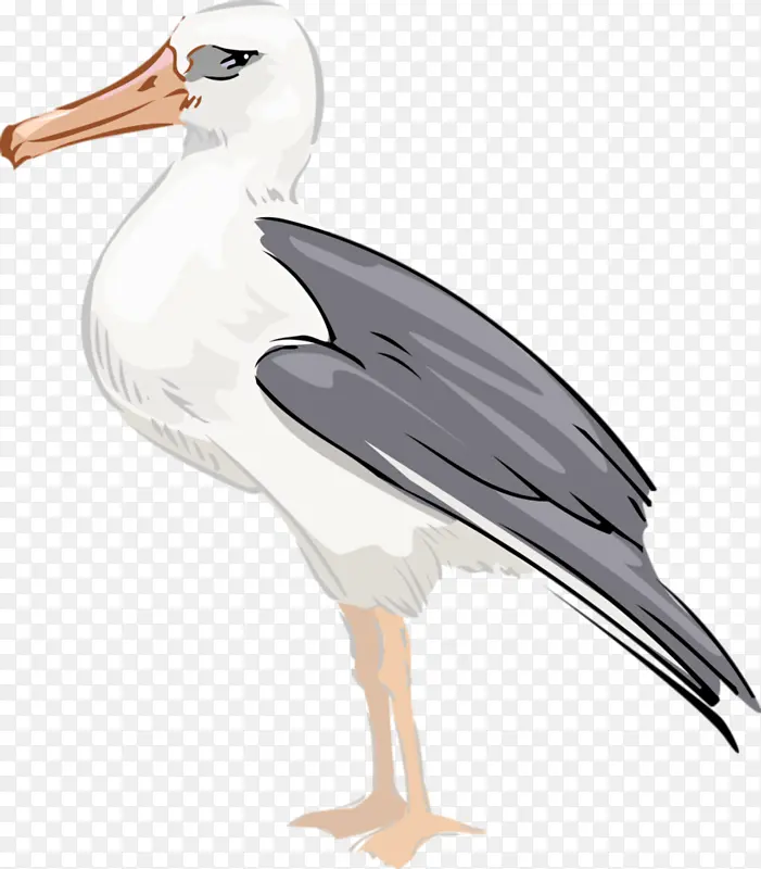 �� �ֻ涯�� ���� ����-������