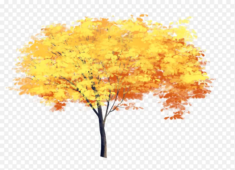 ���һ�ý�Ƶ�������-������