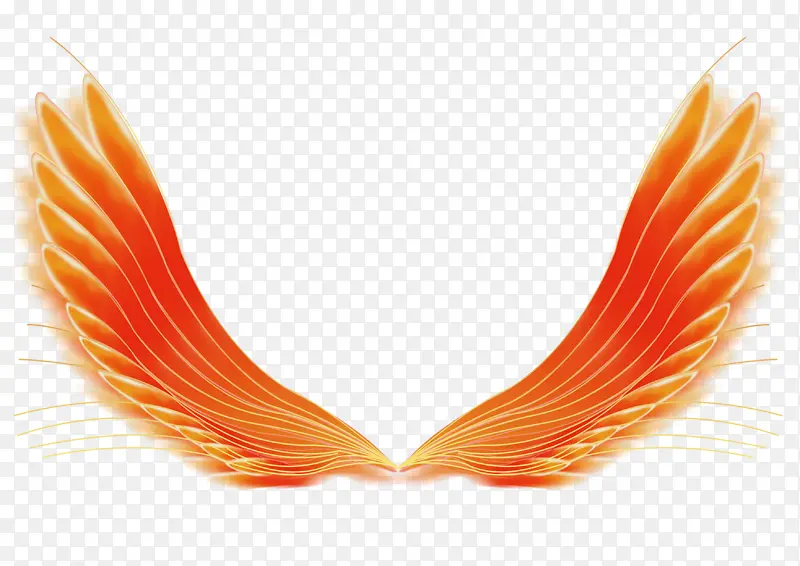 ��ɫ������-������