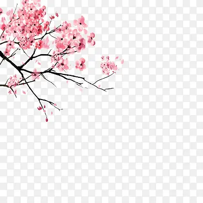 �����������һ�-������