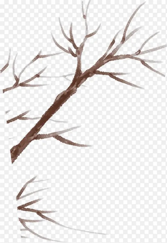 ˮī���ֻ���֦�ز�-������