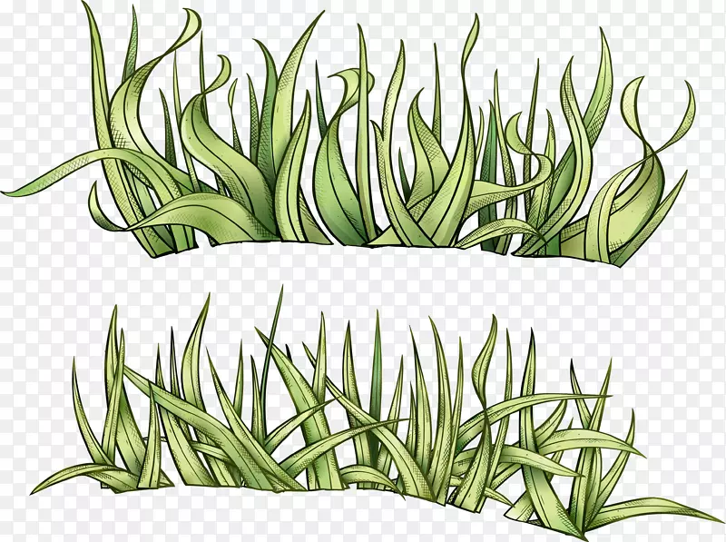 �ݻ��ݱ�ֲ�������.ˮ�ʲ�-������