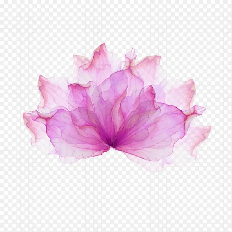 ��ɫ��ˮ�ʻ�-������