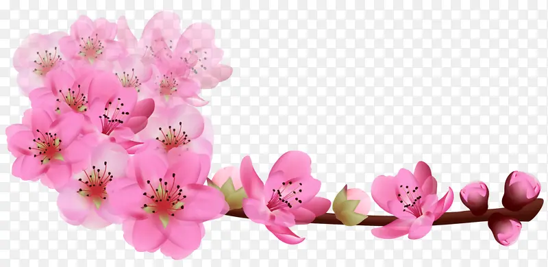 �����ɫ�һ�ӣ��ʸ��-������