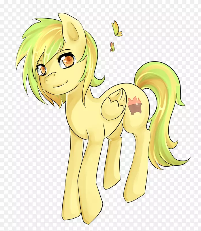 ���ද�Ｙ׵������˾-������