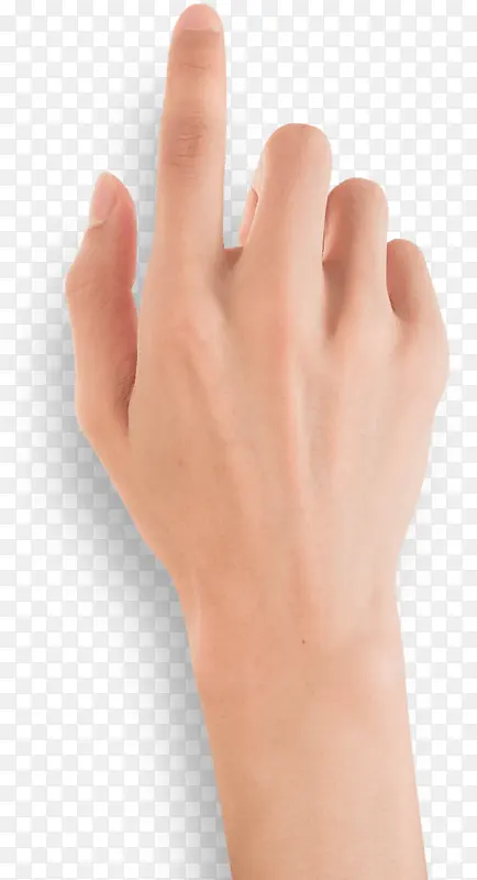 ��ָʳָ���-������