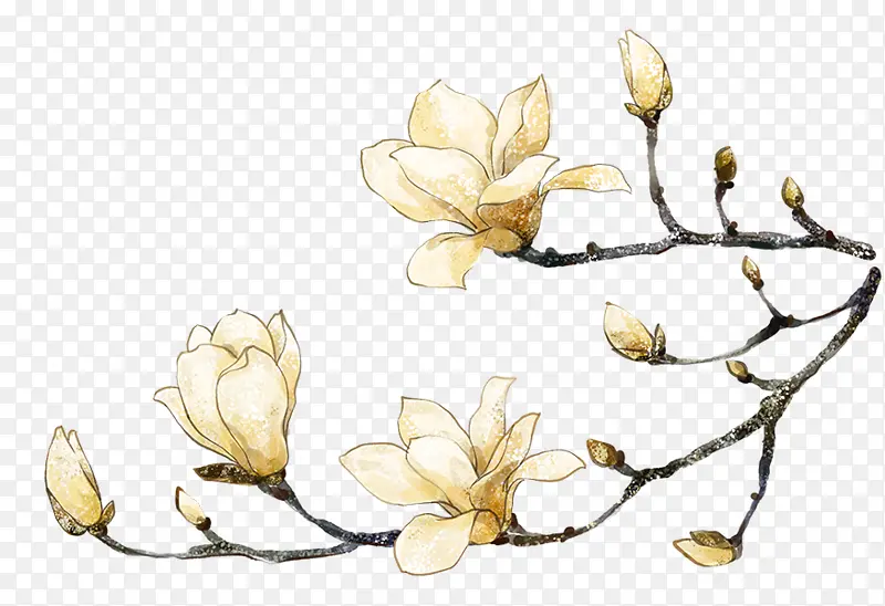 ������������֦����-������