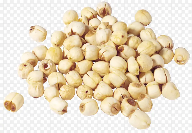 ���� ʳ�� ҩ�� ����-������