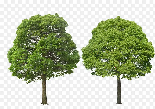 ïʢʵ��������-������