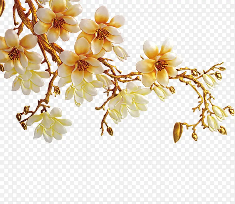 ��֦�ϵ���������-������