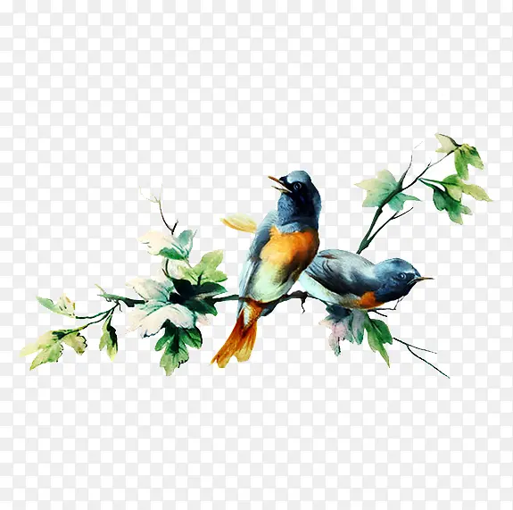 ������֦�ϵ�С��-������