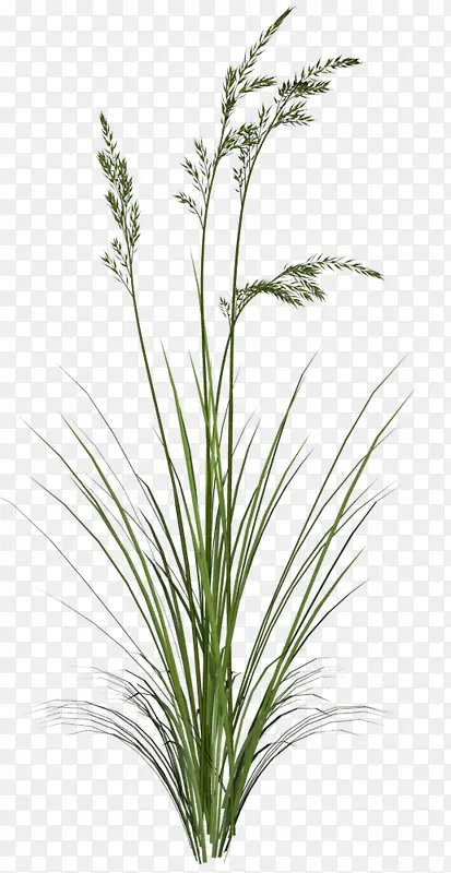 �ӱ߳���С��-������