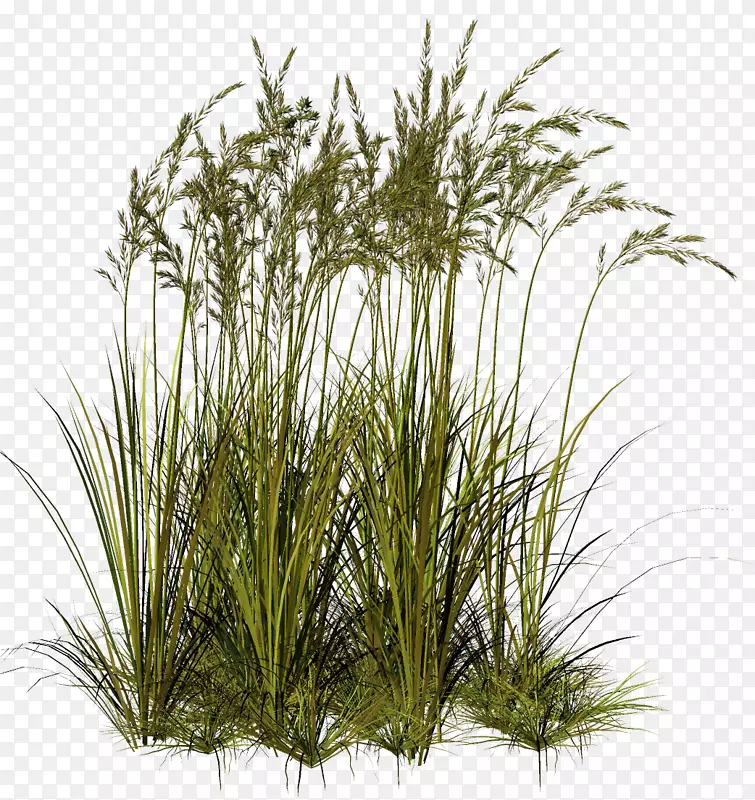 ����7ϵ��ֲ�������-������-������