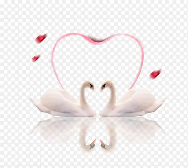 ���� �ɺ� ���-������