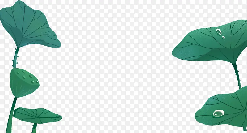 �ֻ������Ҷ-������