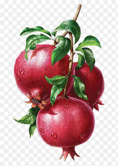 �ֻ�ʯ��ˮ��-������