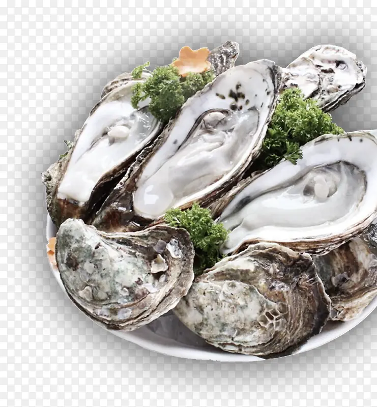 �������png-������