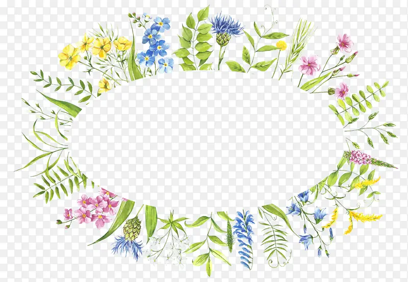 ��Ȧ�߿�ֲ��߿��ֻ滨Ȧ-������