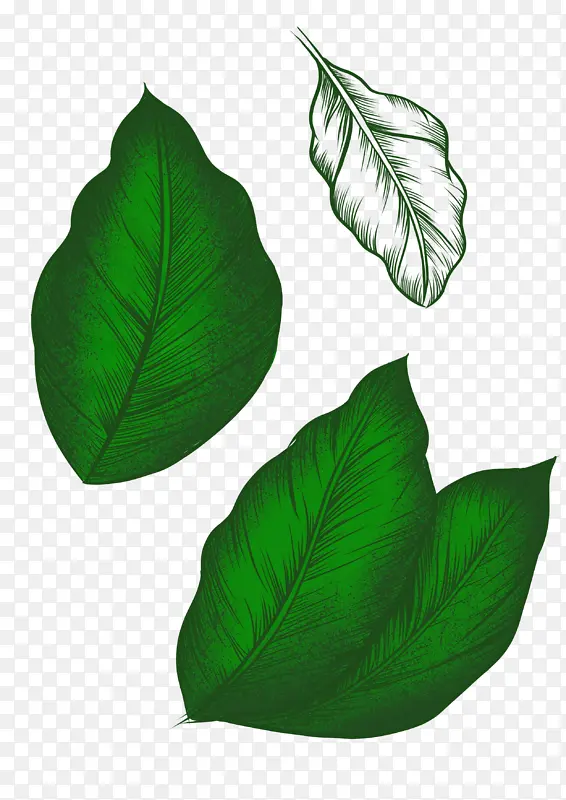 �ֻ���ɫ��Ҷ-������