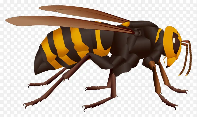 ��ͨ�۷�PNGͼƬ�ز�-������