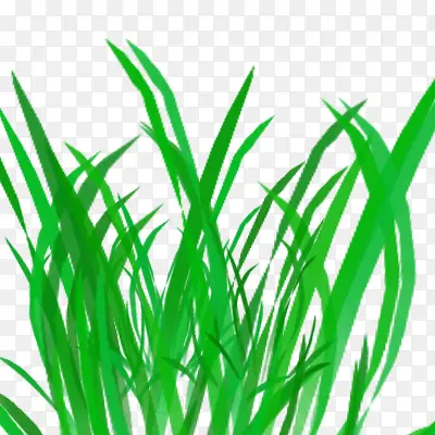 С����ɫ����-������