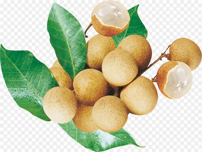 ����ˮ����Բ-������