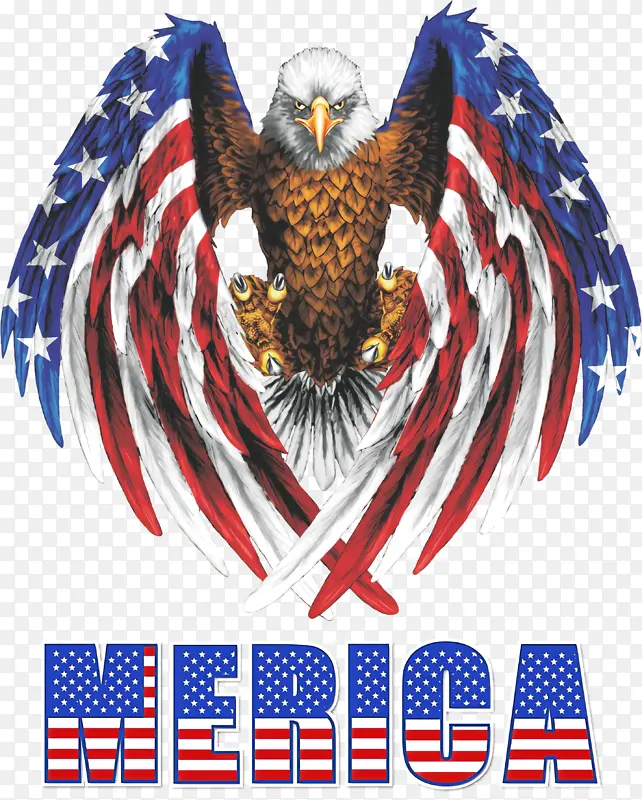 ����������ӥ-������